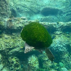 Meet your Posher, Robert